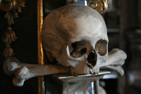 Sculls & Bones IV