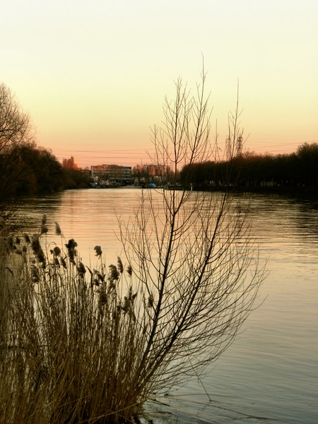 January by the River