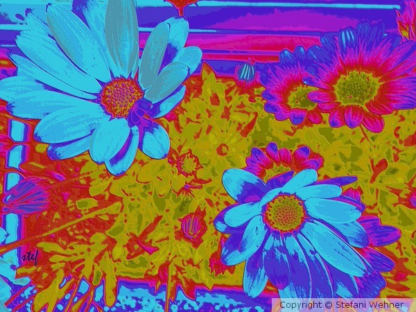 wish you a colorful sunday