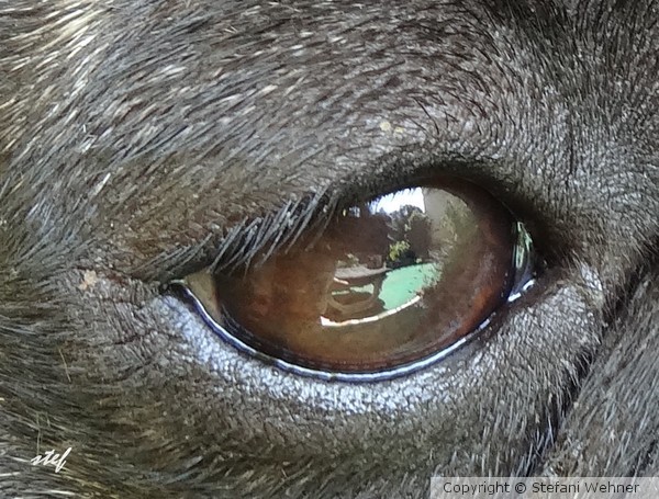 can you see.........