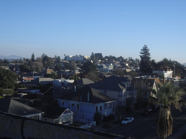 Rooftop Views