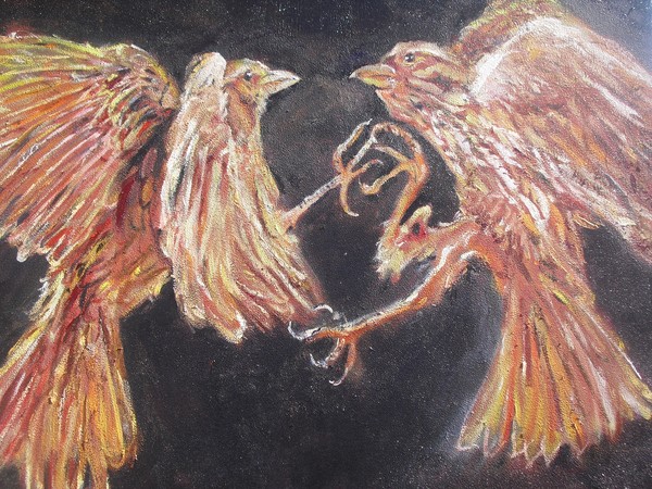 Bird Fight!