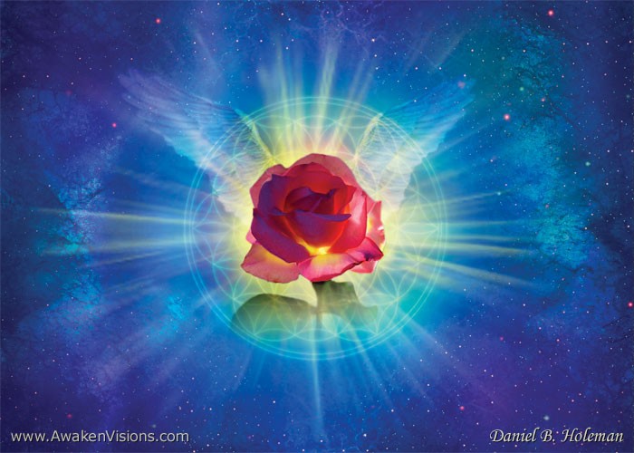 H035RoseWings 5x7