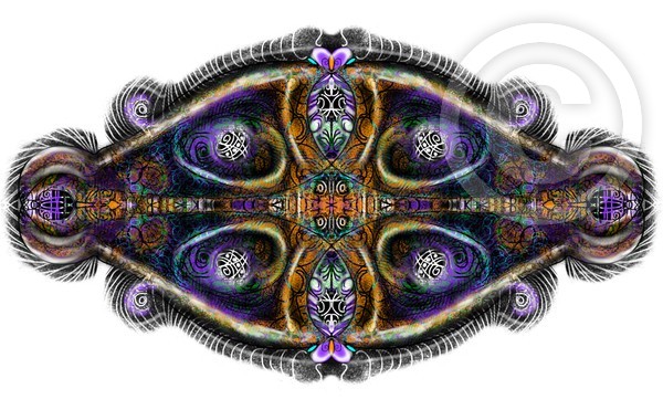 My Designs~Dark Glass