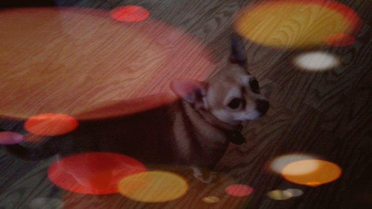 my Tanner 2