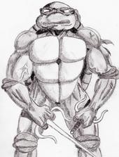 ninja turtle