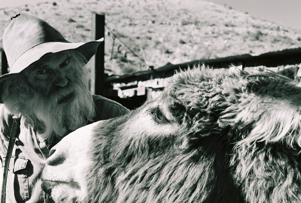 Old Timey