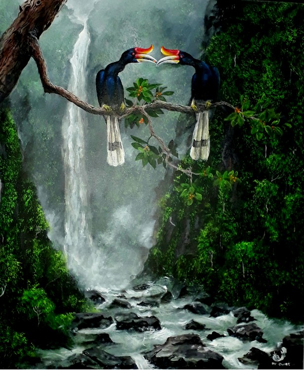 Hornbills of Borneo