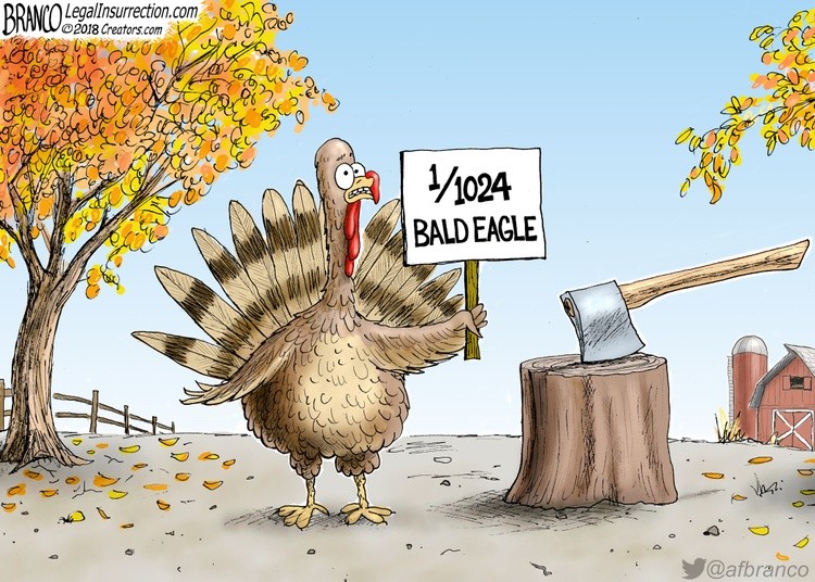 DNA Turkey color