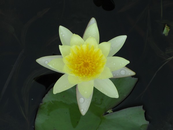 IMG 5188 resize
