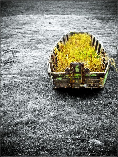 Punt