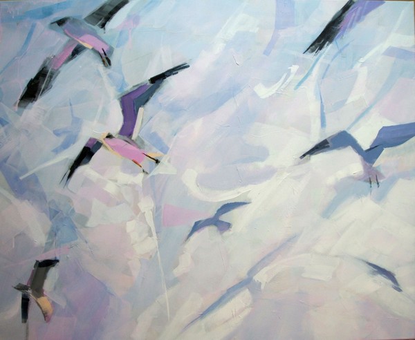 Gulls