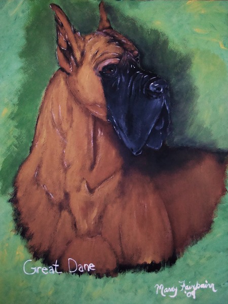 Great Dane