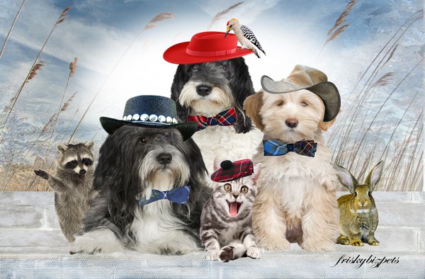 Tibetan And Friends