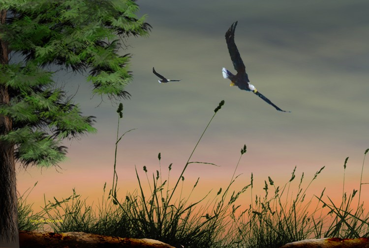 Flight of Eagles