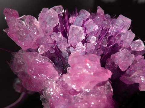CRYSTAL PENNELLO