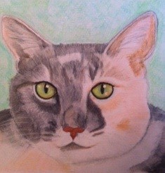 Calico
