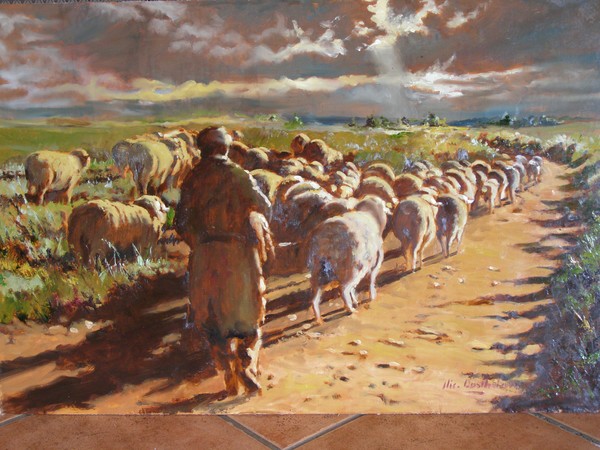 sheep