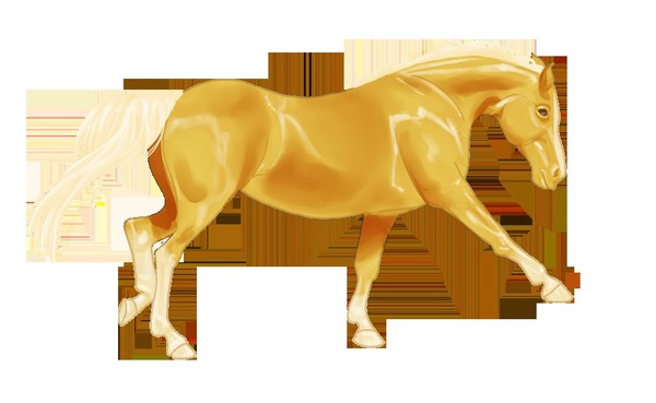 Palomino