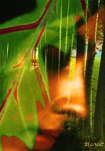Dryad 4