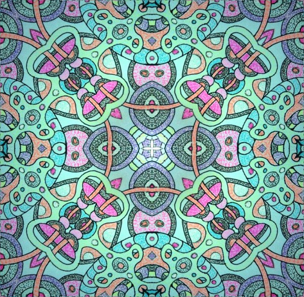 digital disection of 3 1/2