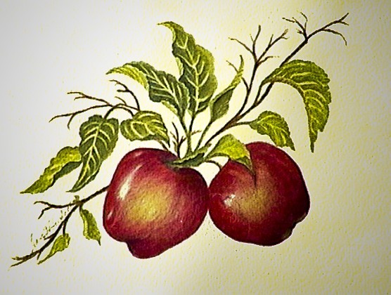 Apples of Truth & Treasure