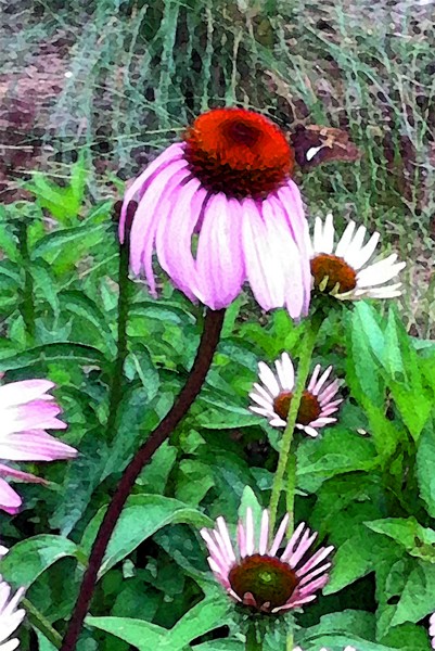 Flower Watercolor