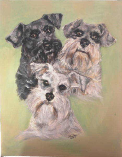 Schnauzers