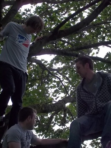 3 monkeys