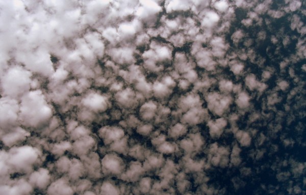 cotton clouds