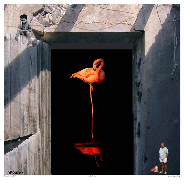 flamenco