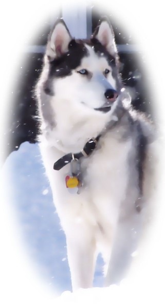 Loving the Winter