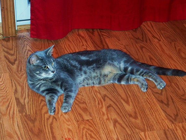 Feelin' lazy?