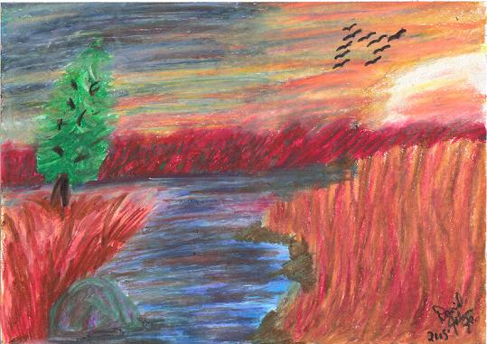 Ducks at Sunset