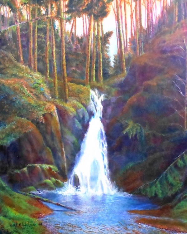 University Falls 01