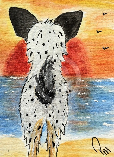 Watching The Sunset