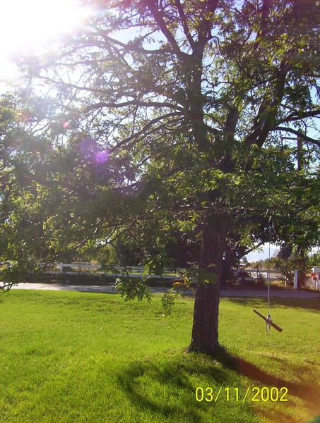 The Swing
