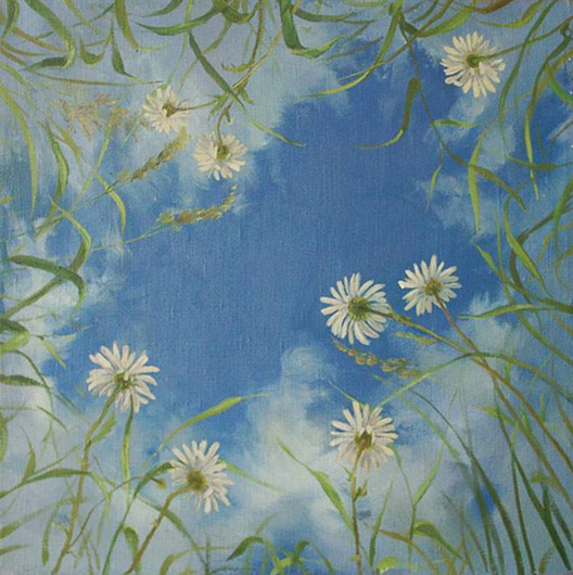 Sky with the ox-eye daises