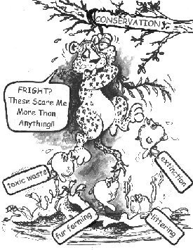 Plight Of The Big Cats