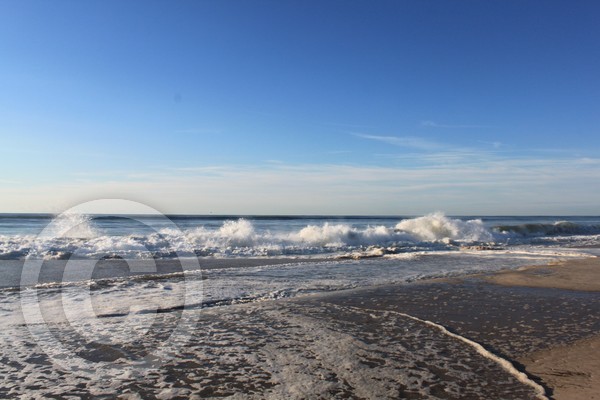 Playful Tide