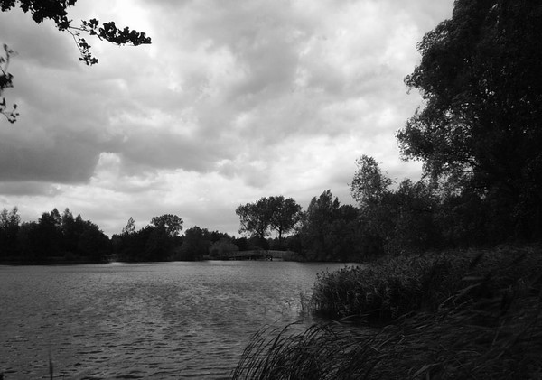 stormy day at the park