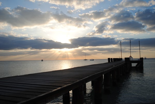The Dock