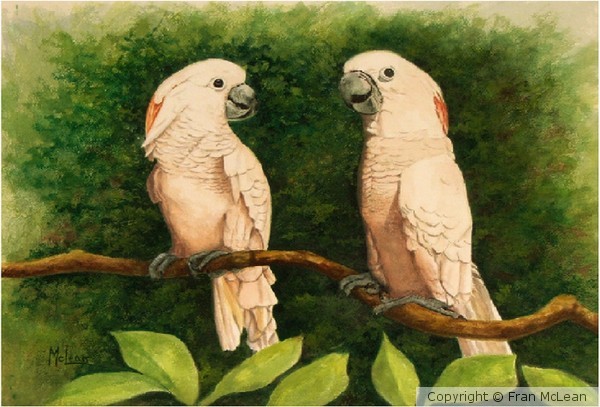 Say Goodnight Gracie-Sold