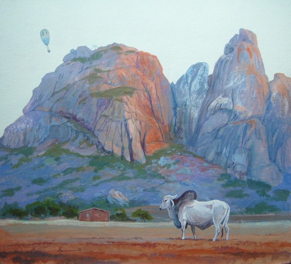 Sobrevoando a Serra do Fogo