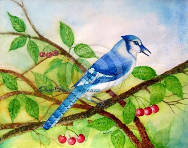 Blue Jay