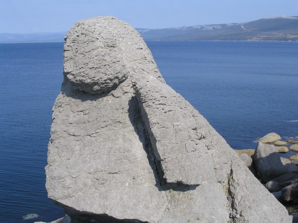 Edge
