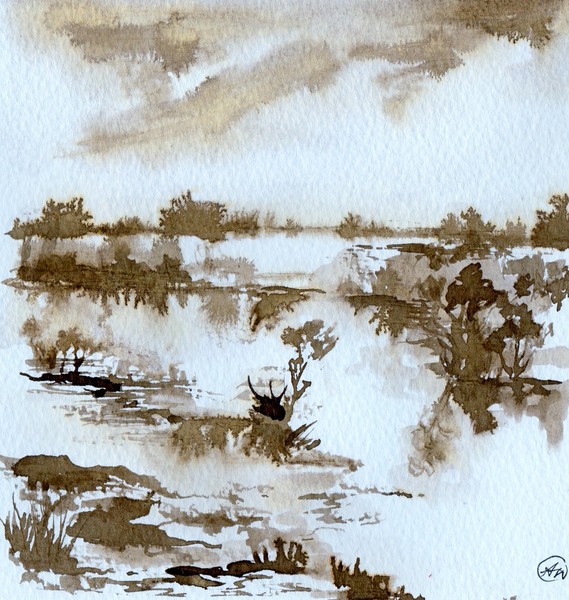 Salt Marsh