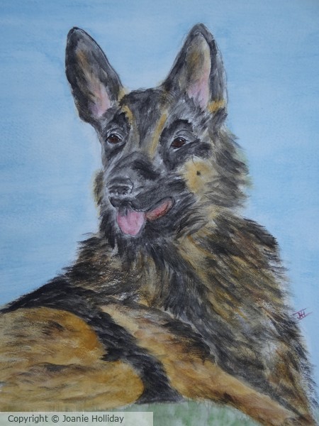 WATERCOLOR, GERMAN SHEPHERD