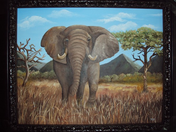 Charging African Elephant
