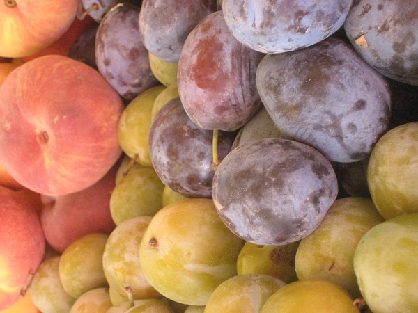 beautiful fruit at Rialto Market, Venice